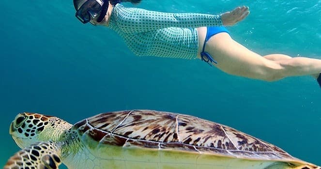 Snorkeling Adventure with Cjay's Watersports in Montego Bay