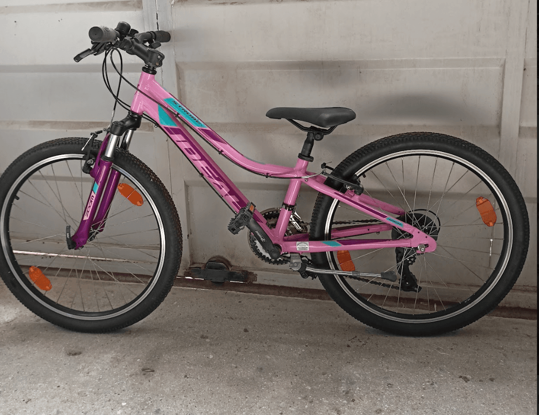 City Bike Rides with Panorama Bikes