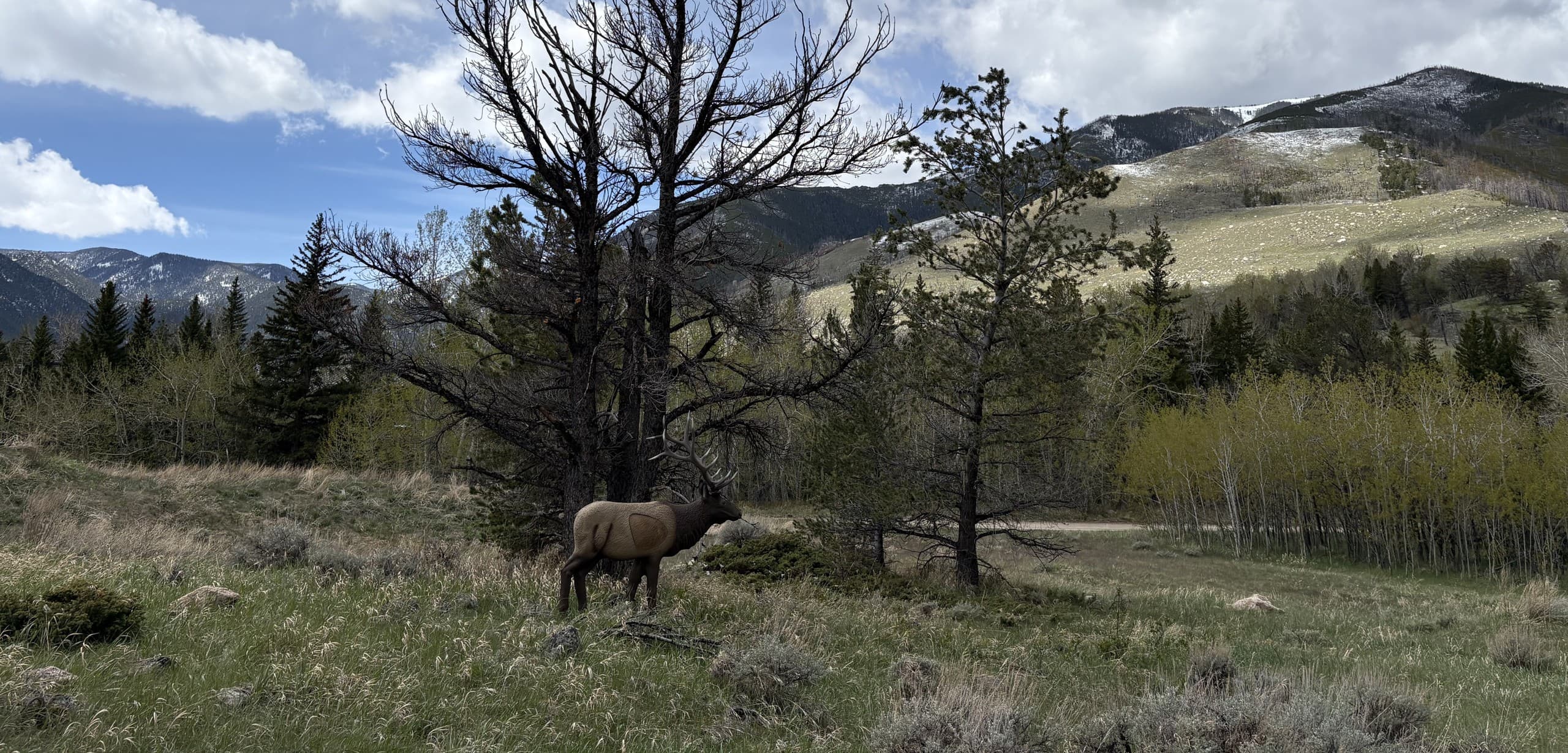 Rock Creek 3D Archery Course: Field-Style Target Practice Near Red Lodge, Montana