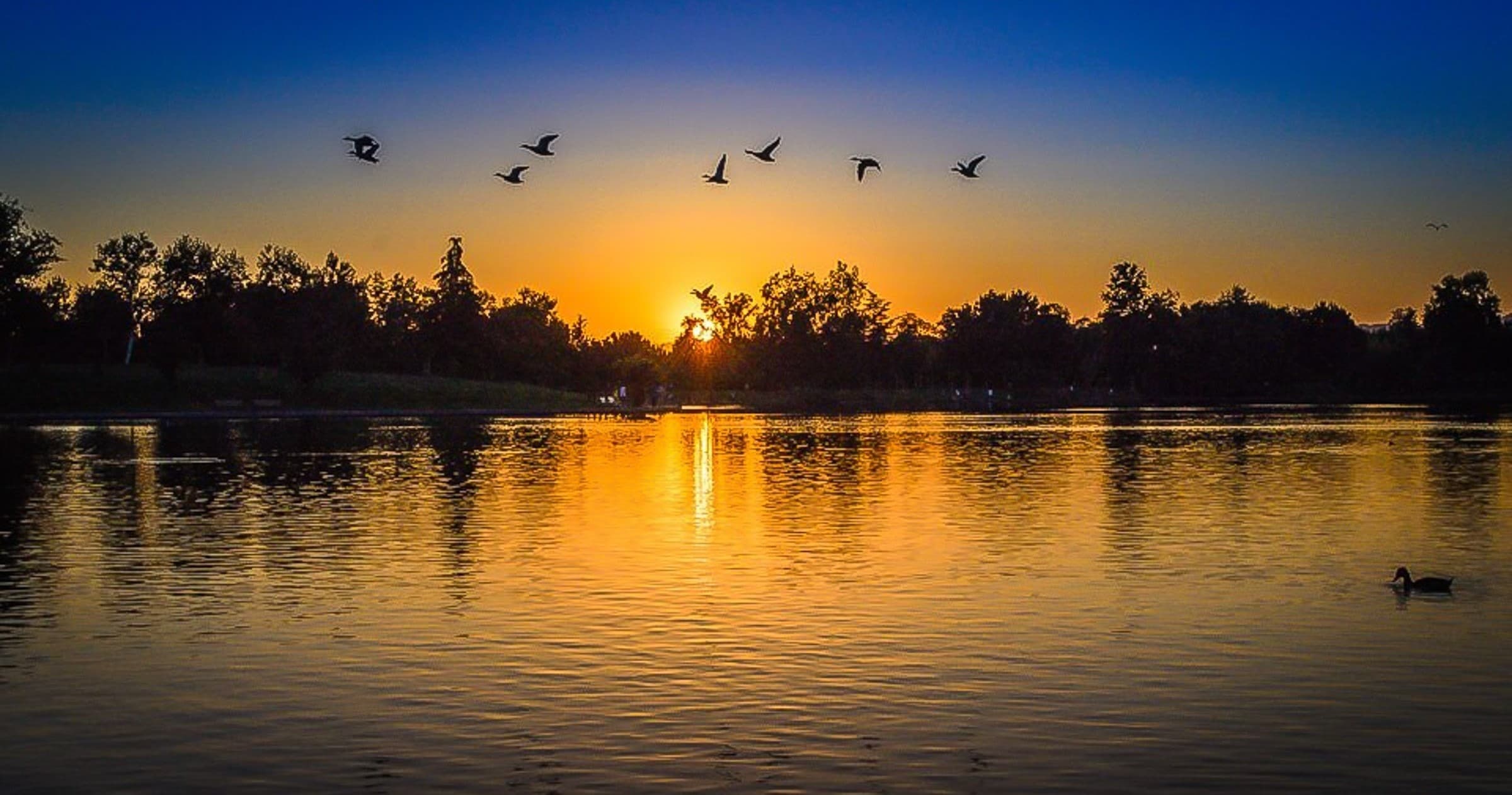 Water Activities at Parker's Boat House and Pontoon Rentals