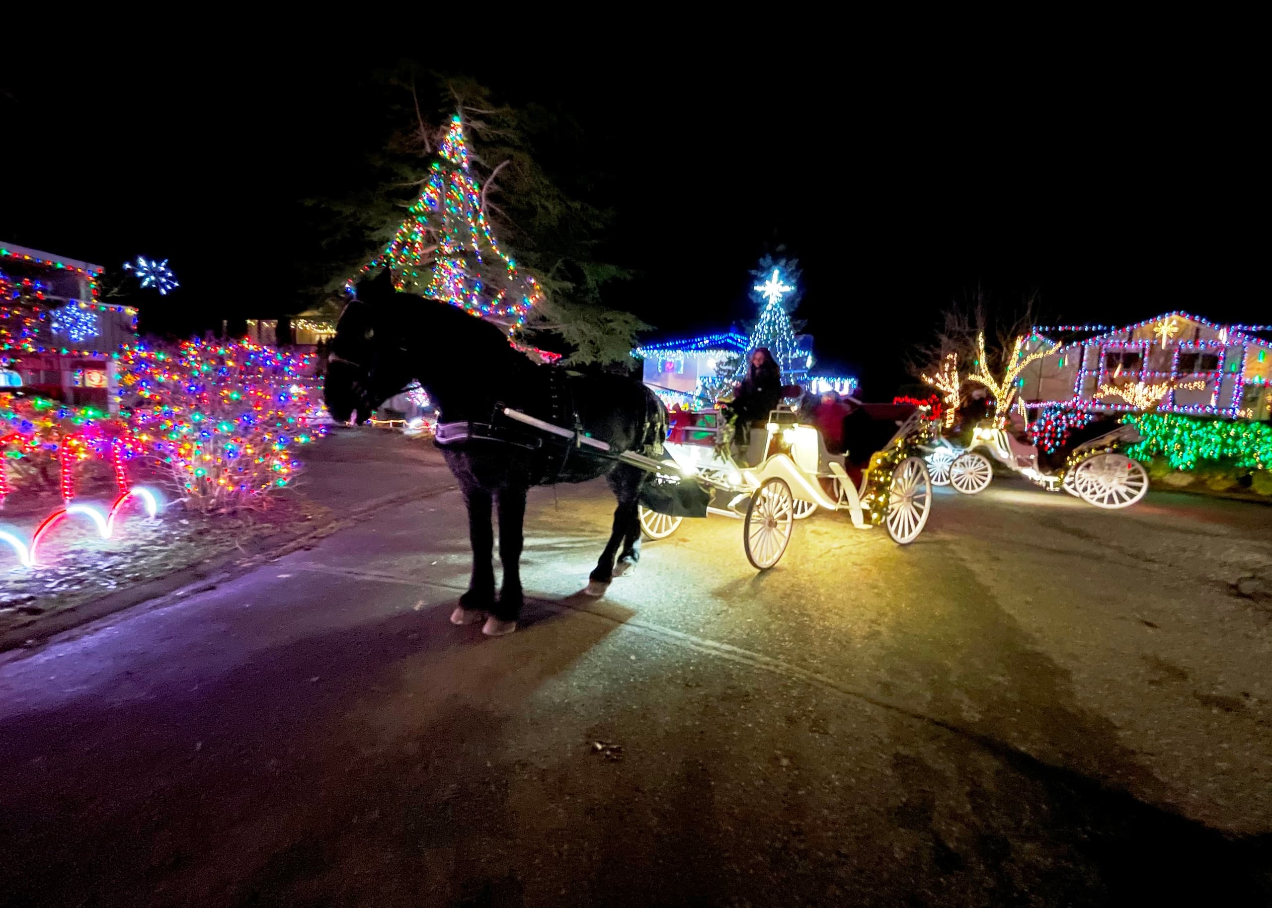 Experience Caroling in the Country: A Magical Horse-Drawn Christmas Light Tour in Saanichton, BC