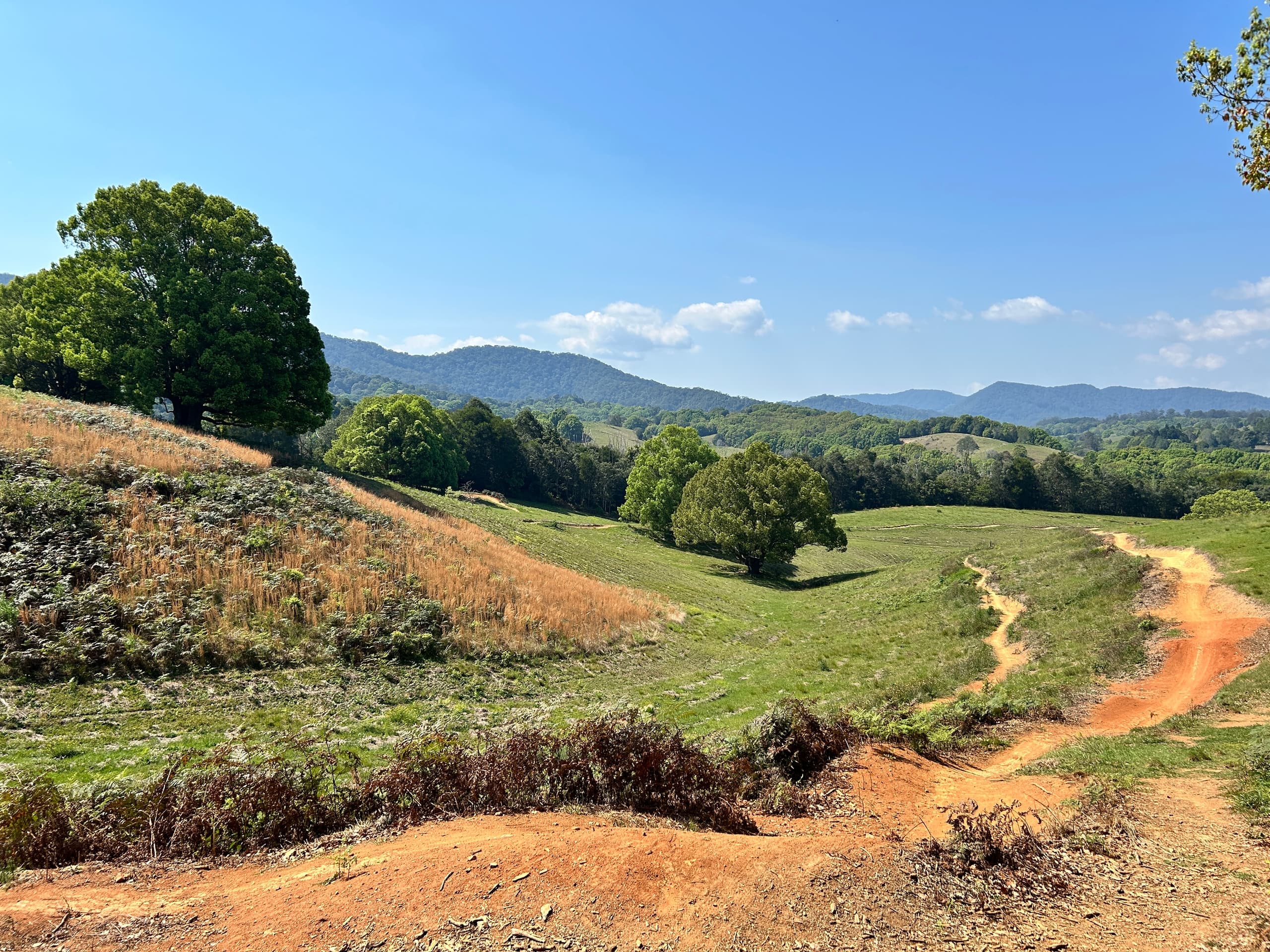 Thrill-Seekers Guide to Full Suspension Mountain Biking in Uki, NSW