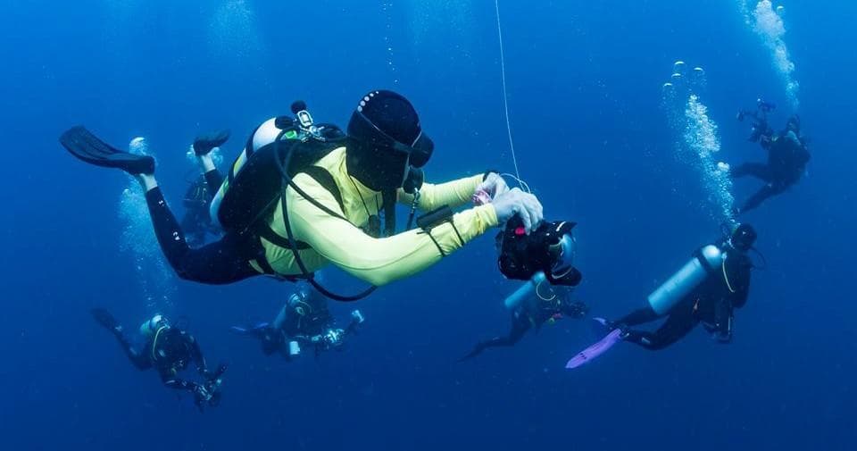 Scuba Diving at Lord Howe Island - Ten Dive Package