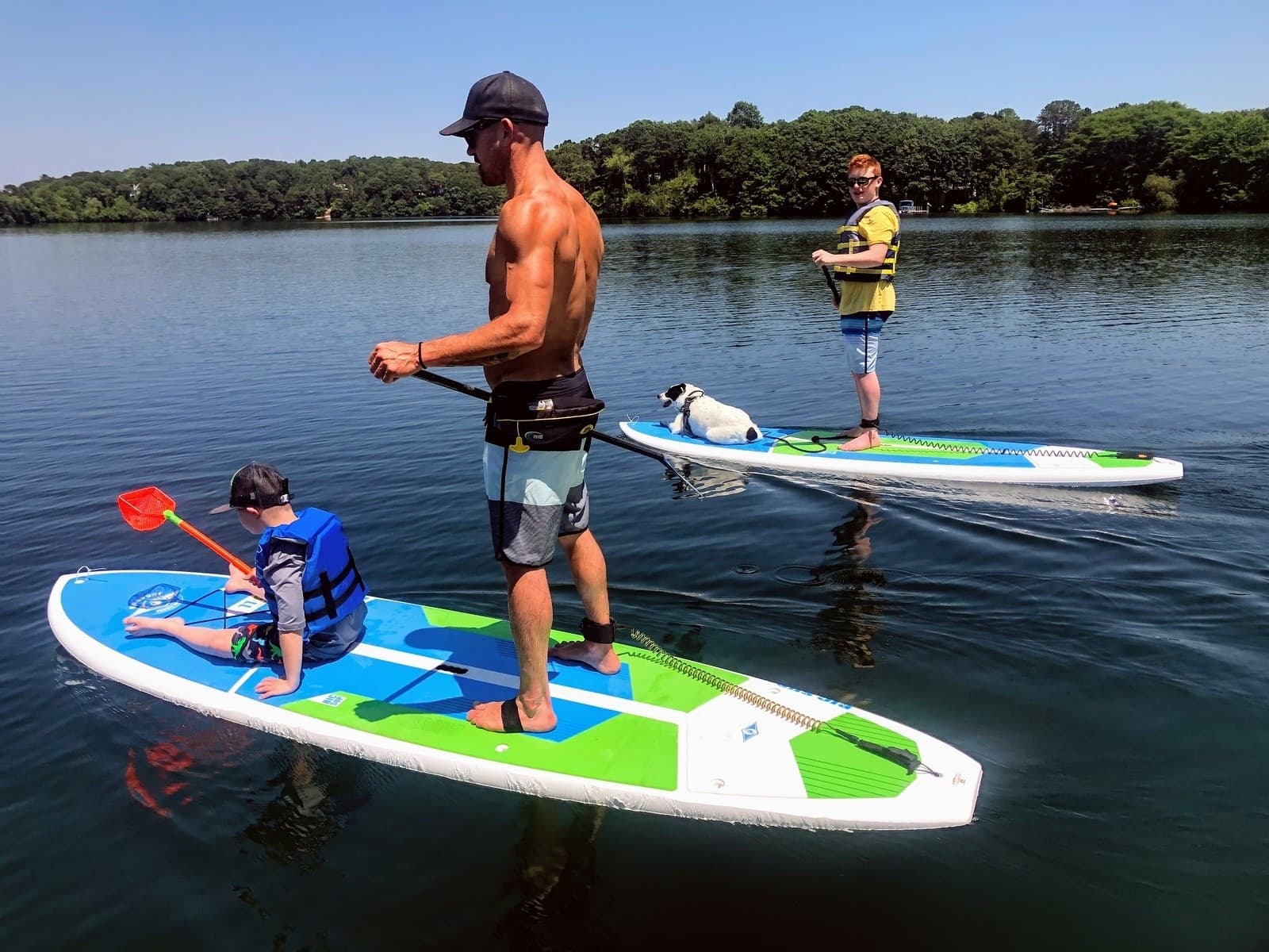 Paddle the Quiet: Guided SUP Tours Through Cape Cod's Salt Marshes photo 4