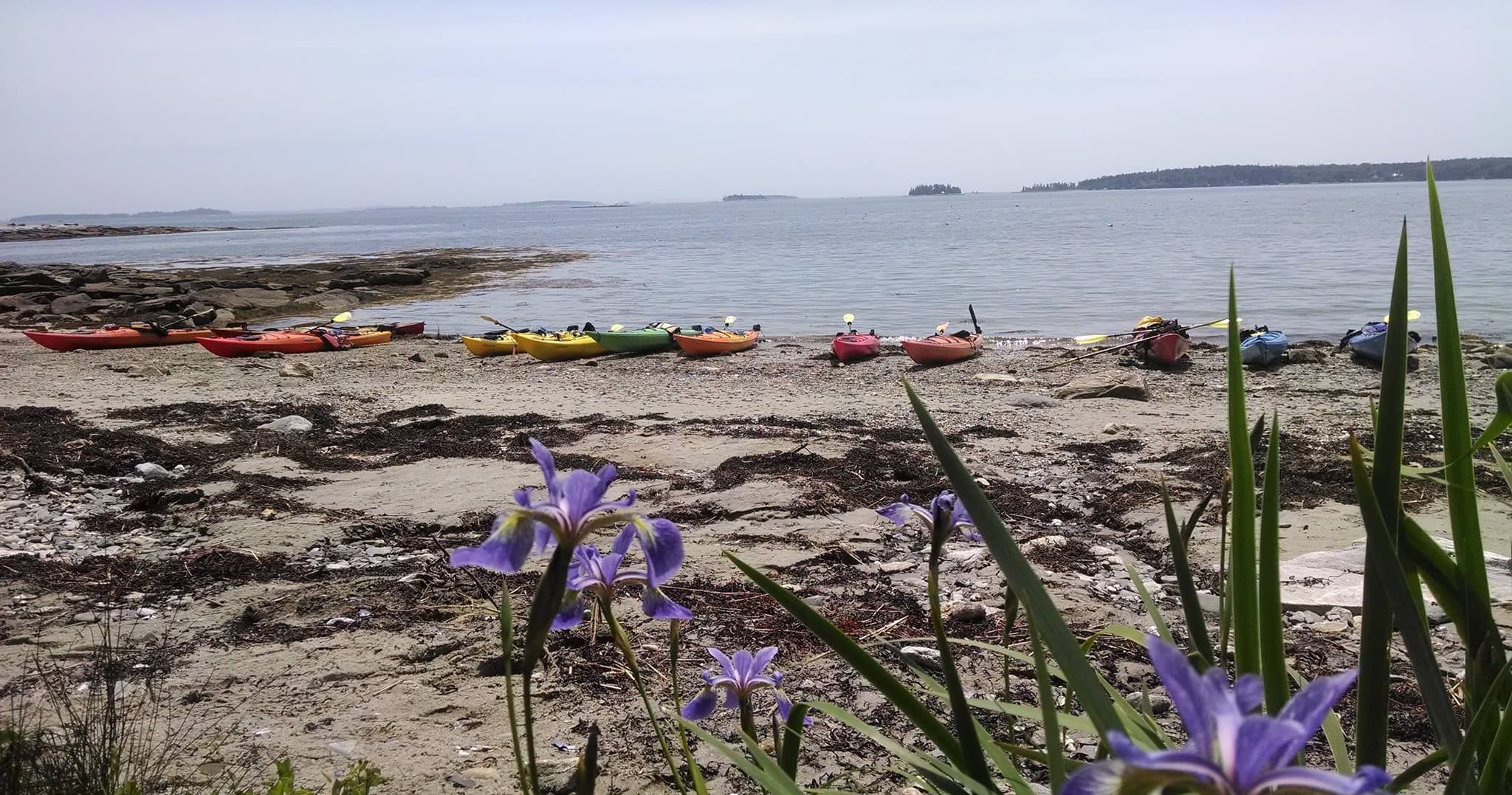 Water Activities & Kayaking at Midcoast Kayak: 4-Day Rental Guide