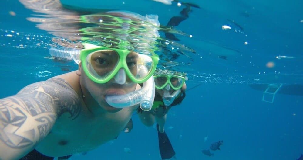 Snorkel with Turtles in Honolulu with Oahu Catamaran