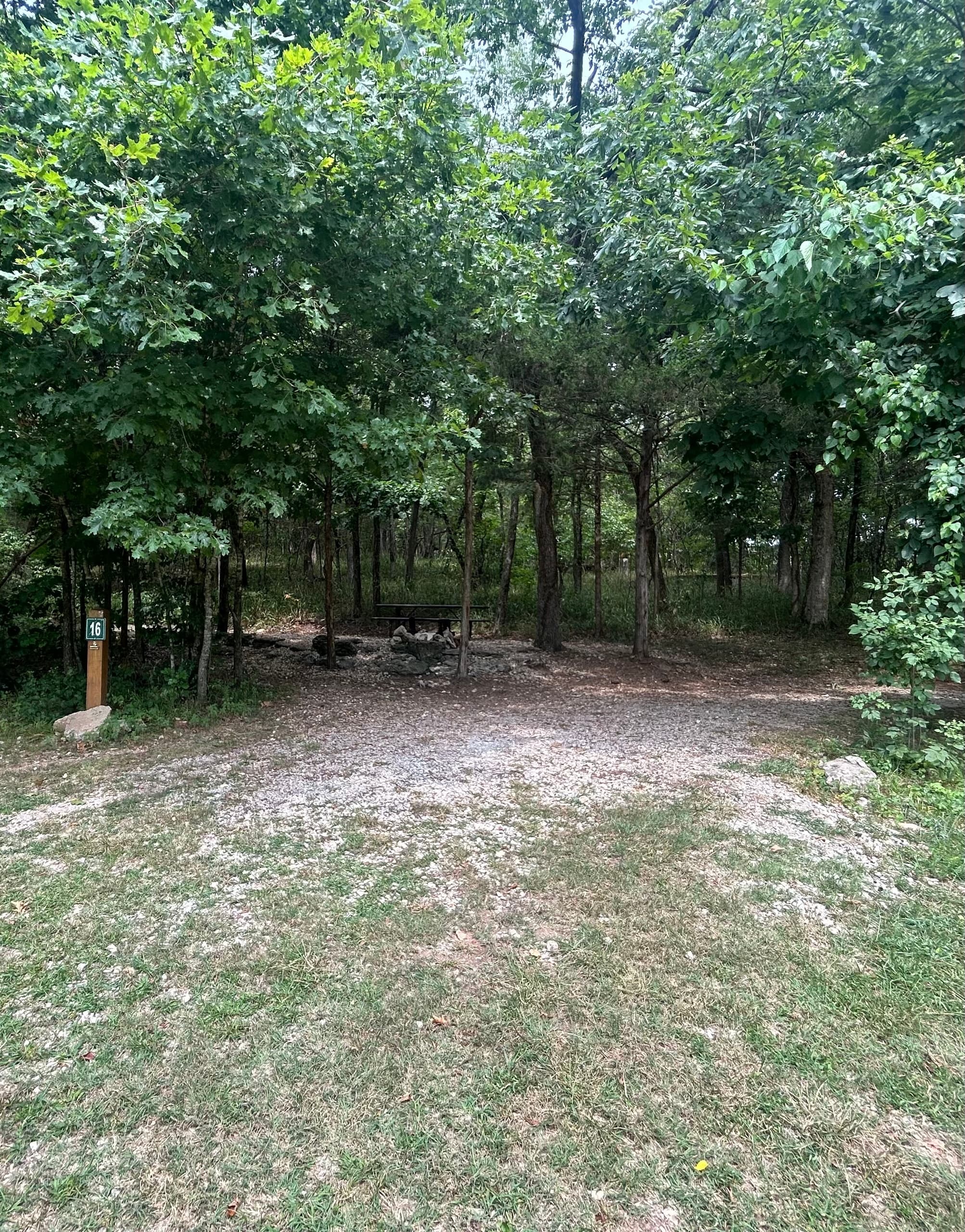 Campsite Experience at Lake Leatherwood with Eureka Springs Parks