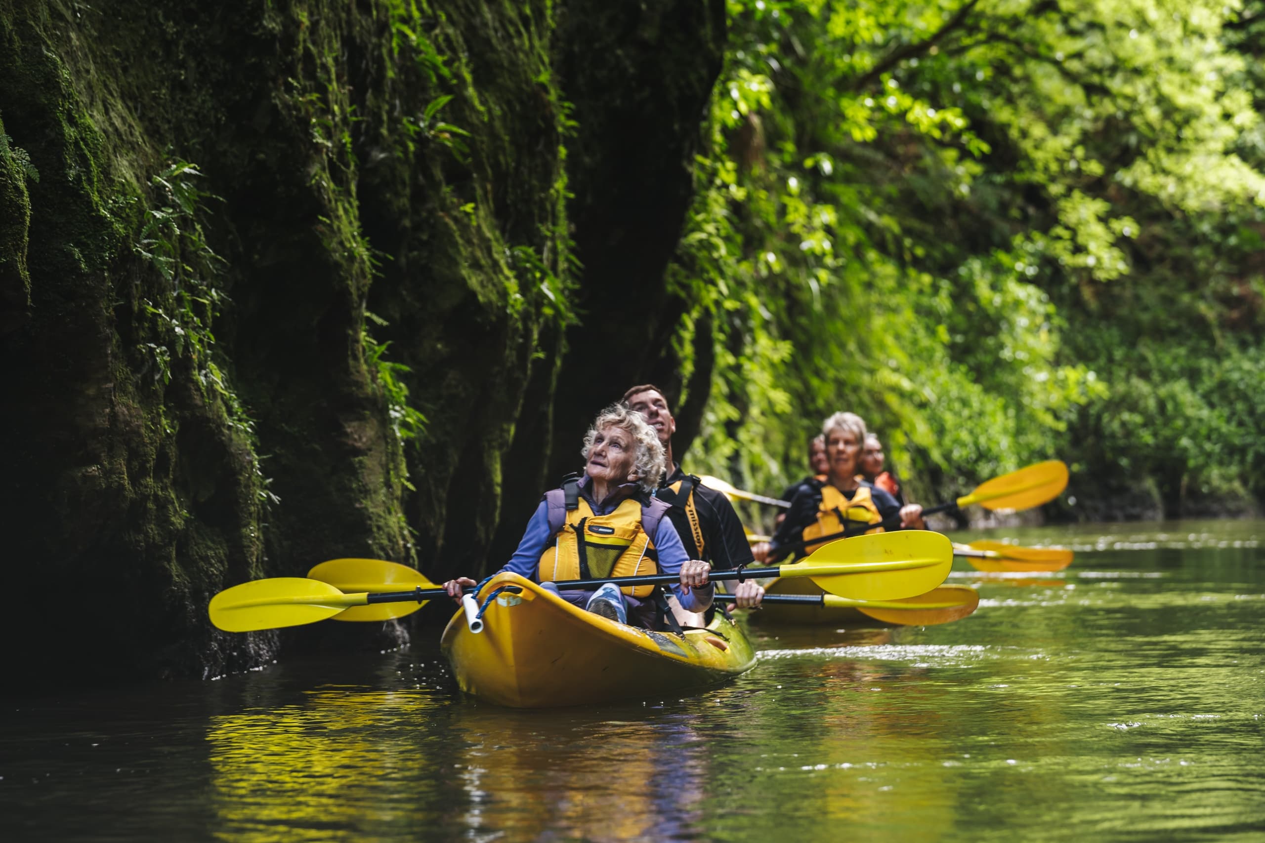 Family Day Out 2025: Easy Kayak and SUP Morning at Piarere, Waikato