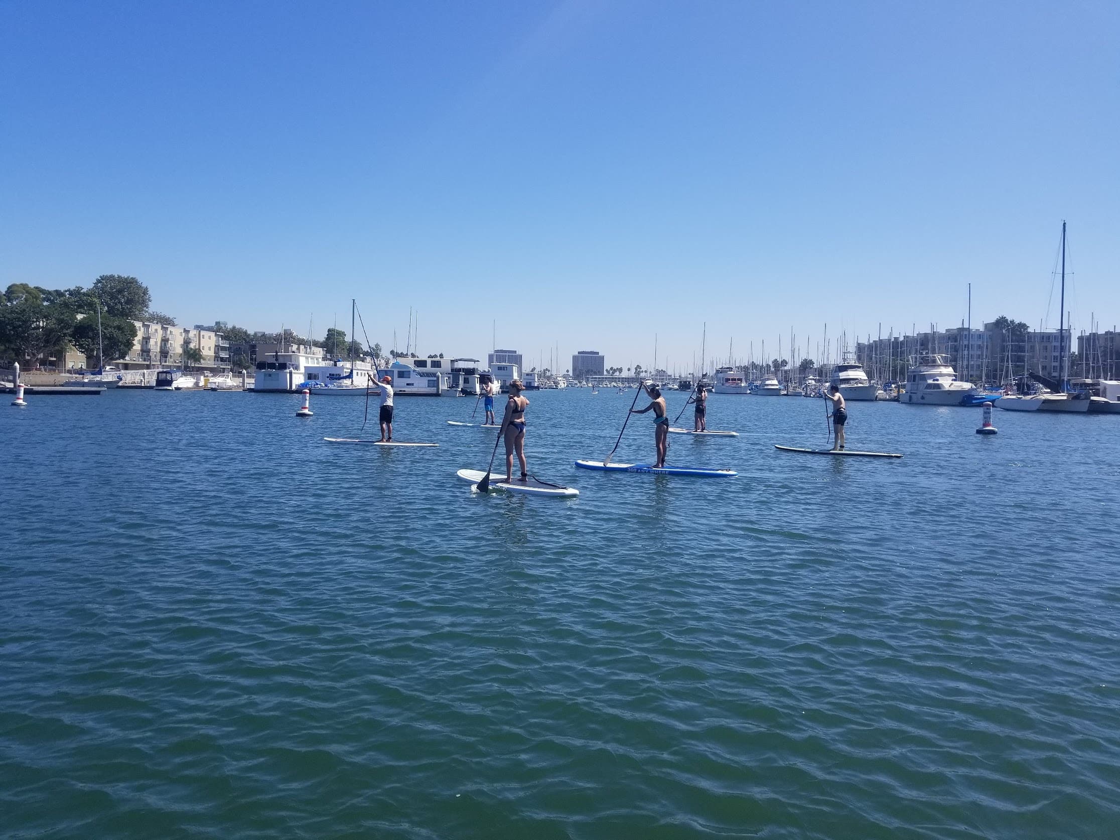 Wide bay view with many SUP riders practicing in open water
