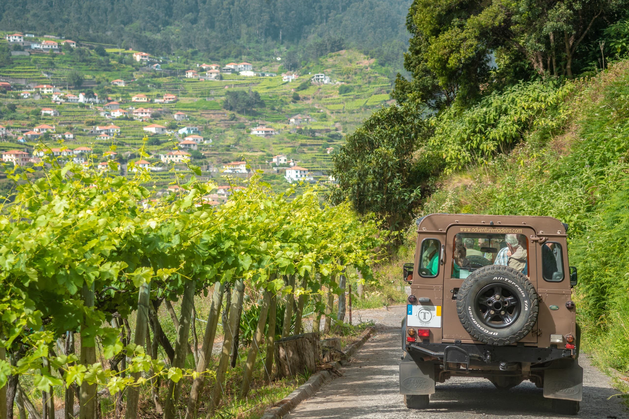 4x4 Through Madeira’s Laurisilva: Fanal, Seixal & Poncha Tasting