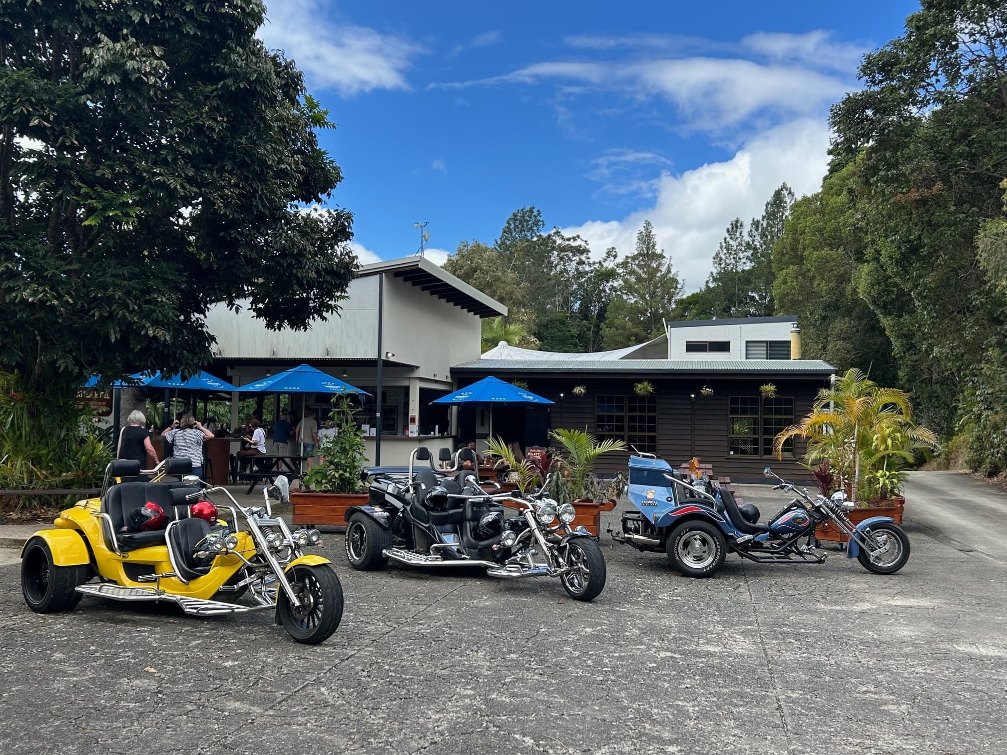 Land Adventures: Port Douglas Town Tour by Tropical Trike Tours