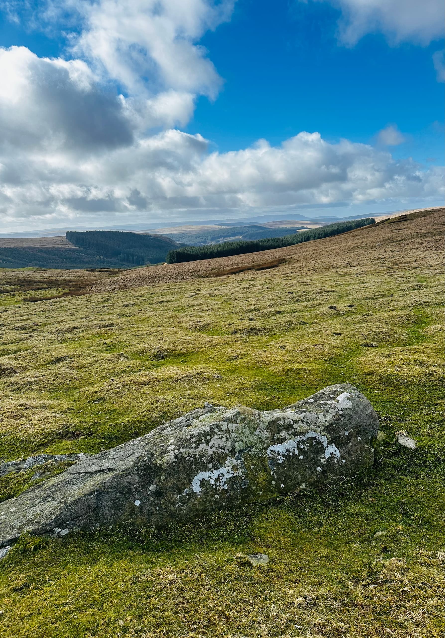 Brecon Mountain Railway & Cwm Criban Ridge Walk: Train Ride, Ogham Stone & Limestone Views photo 2