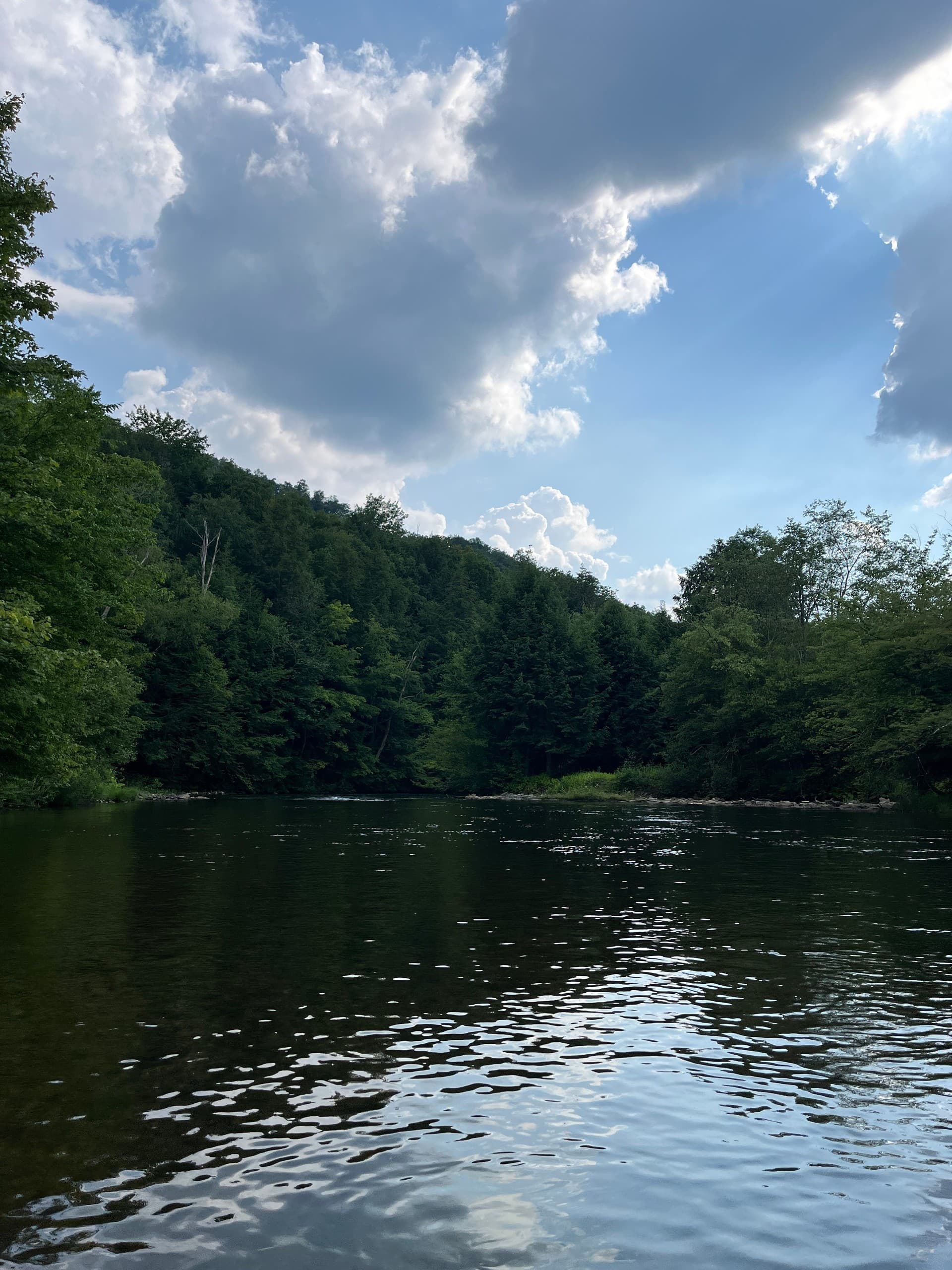 Paddle the West Branch Clarion River — Wilcox to Johnsonburg 7-Mile PA Wilds Float photo 1