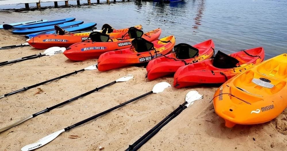 Full-Day Paddle Adventure with Lake Mac Watersports at Cams Wharf
