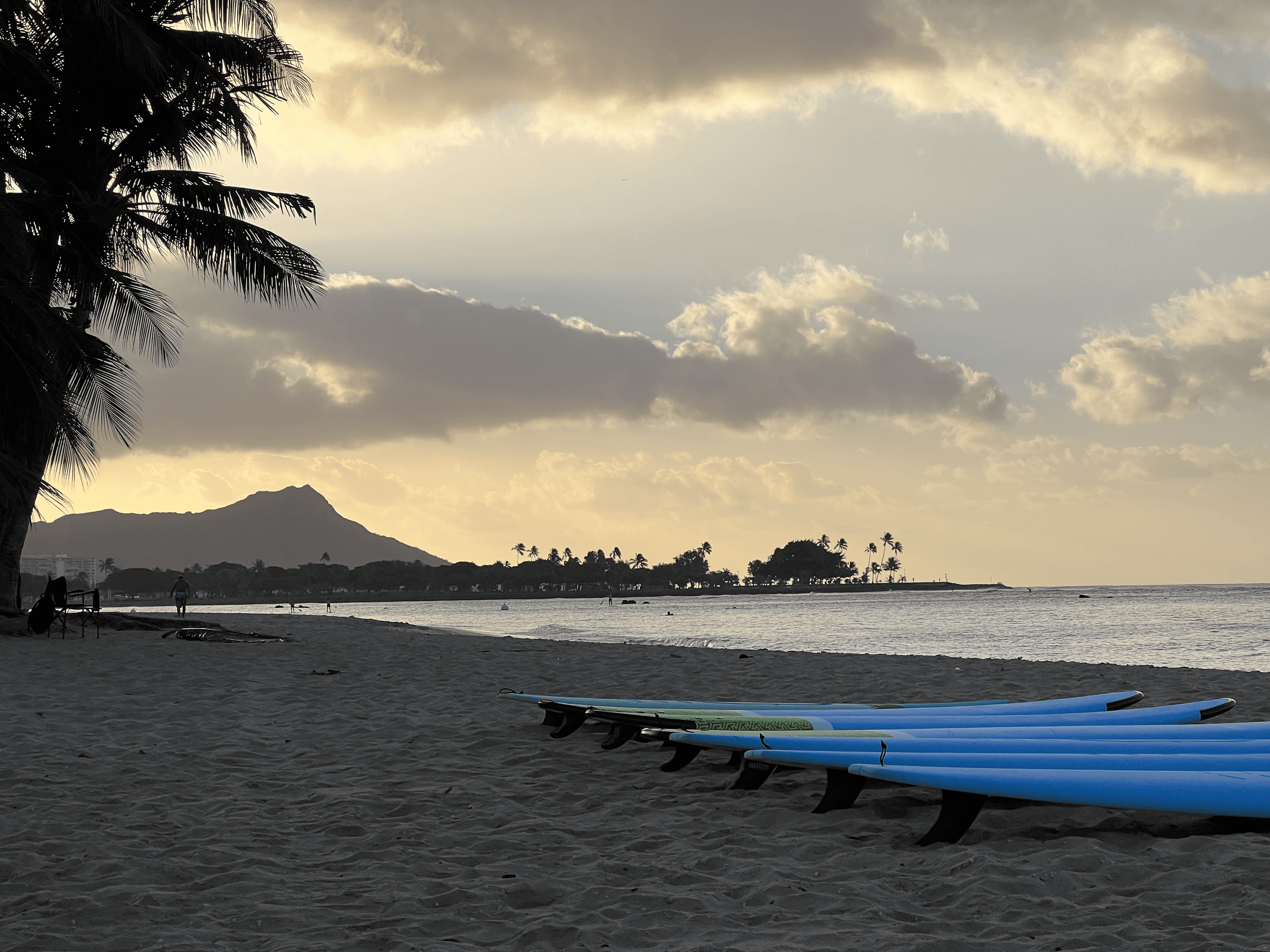 Surfboards lined up on a Hawaiian beach at sunset, calm coast