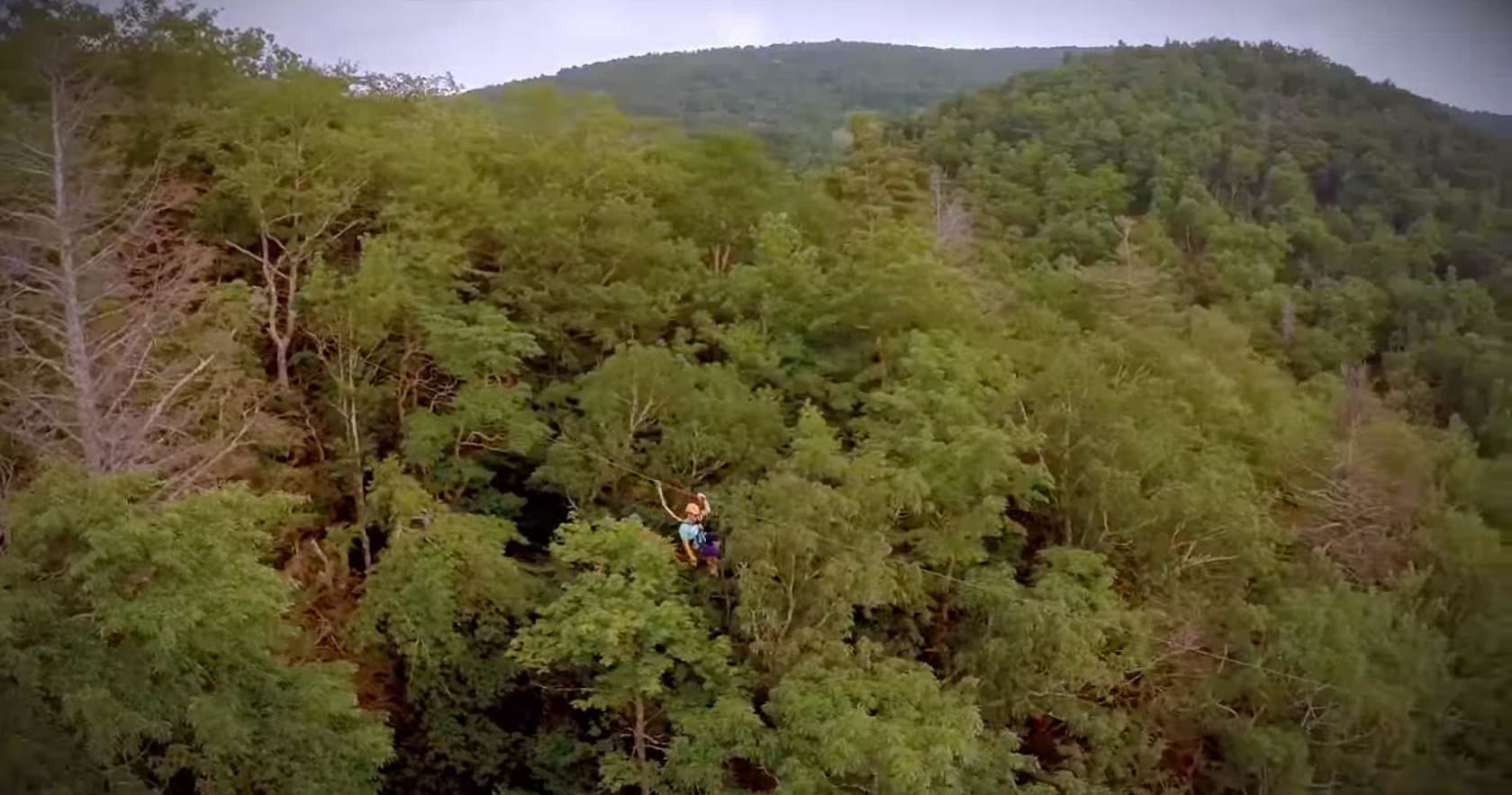 Aerial zipline flight over dense forested valley at Sky Valley