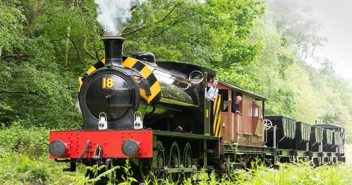 Discover Dean Forest Railway’s Heritage Diesel Day Rover Experience