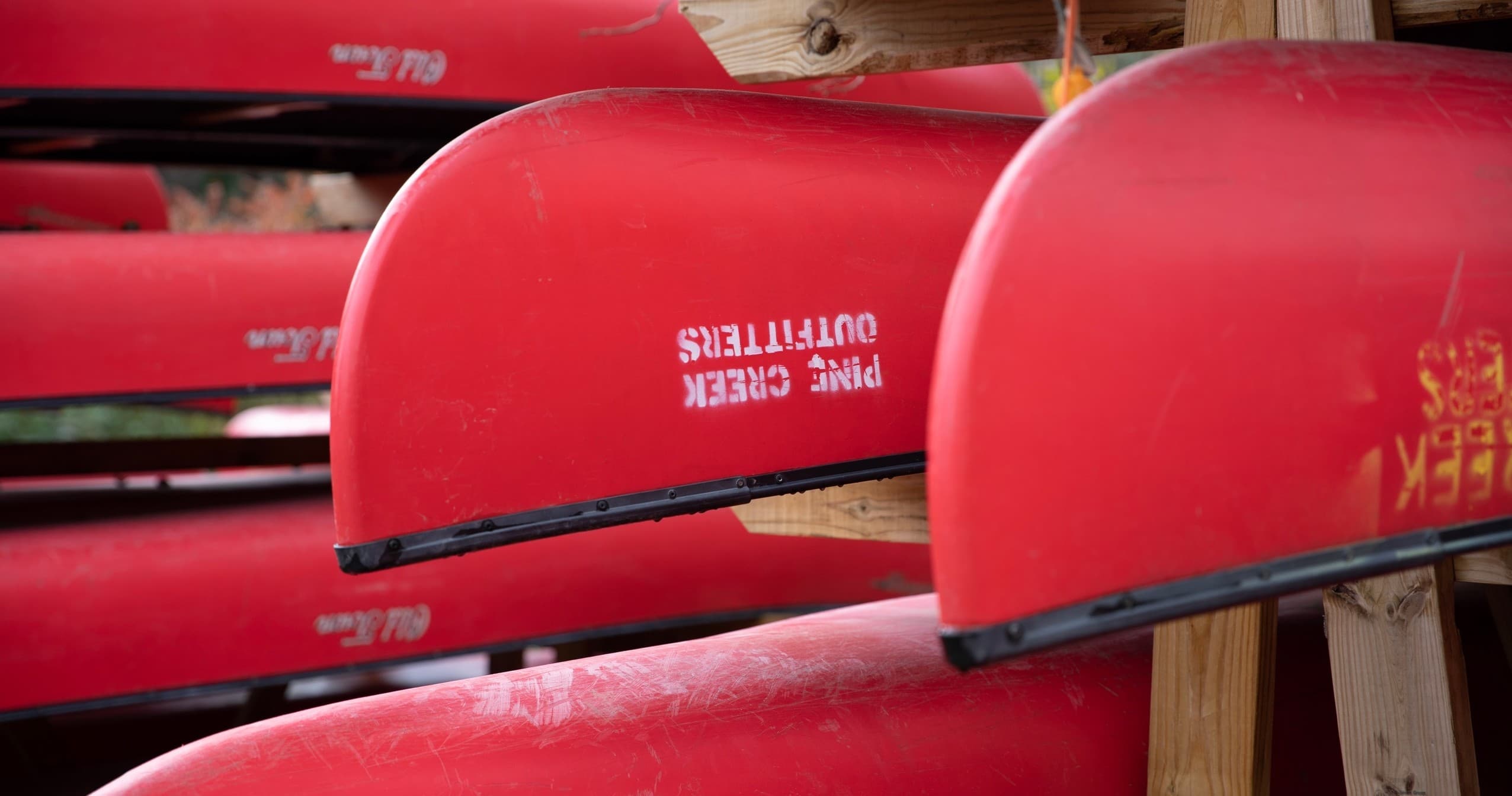Full Day Canoe Rental Adventure in Wellsboro, PA