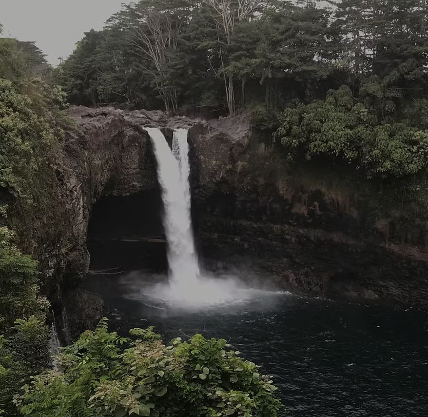 Aloha Ala Tours team