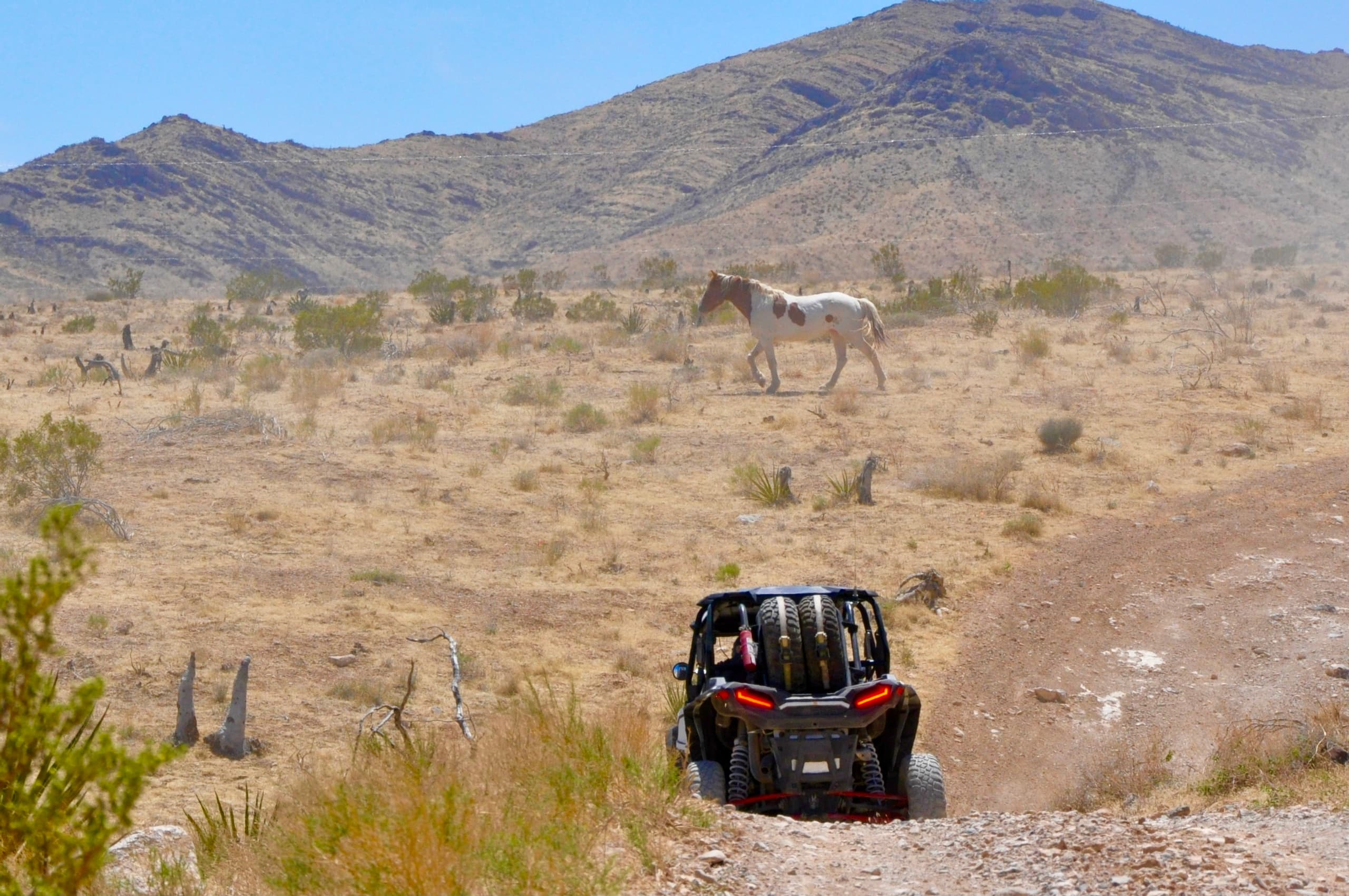 Thrilling Las Vegas Mini Off Road RZR Adventure