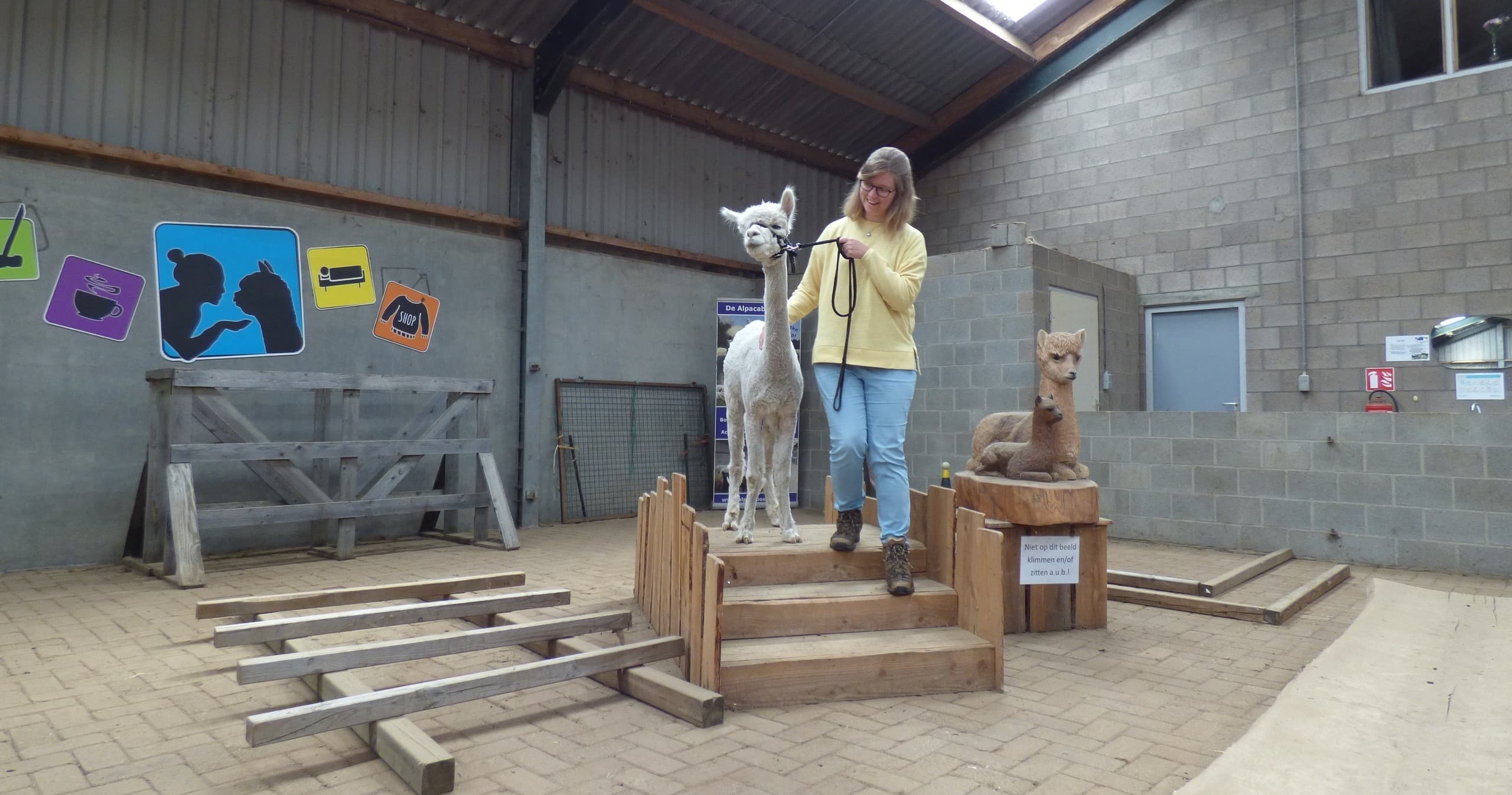 Animal Encounters & Adventure at De Alpacaboerderij