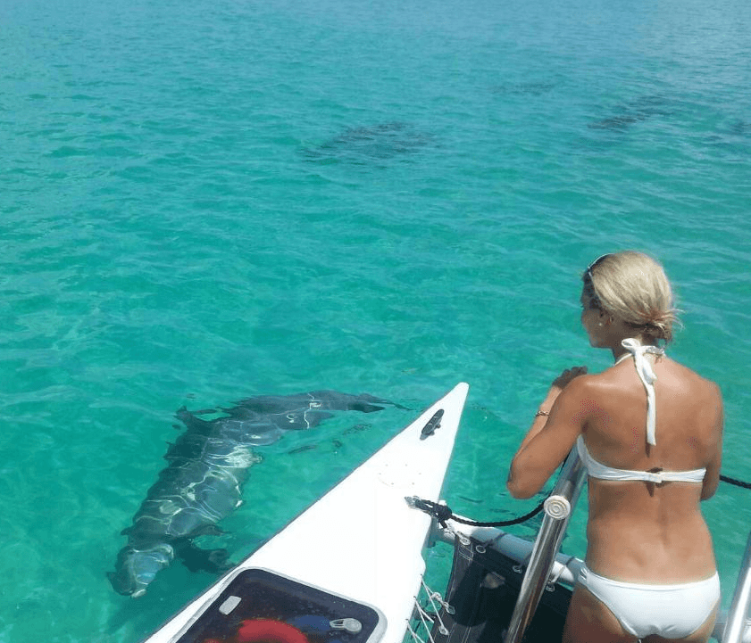 Private Day Charter with Catamaran Echo in Key West