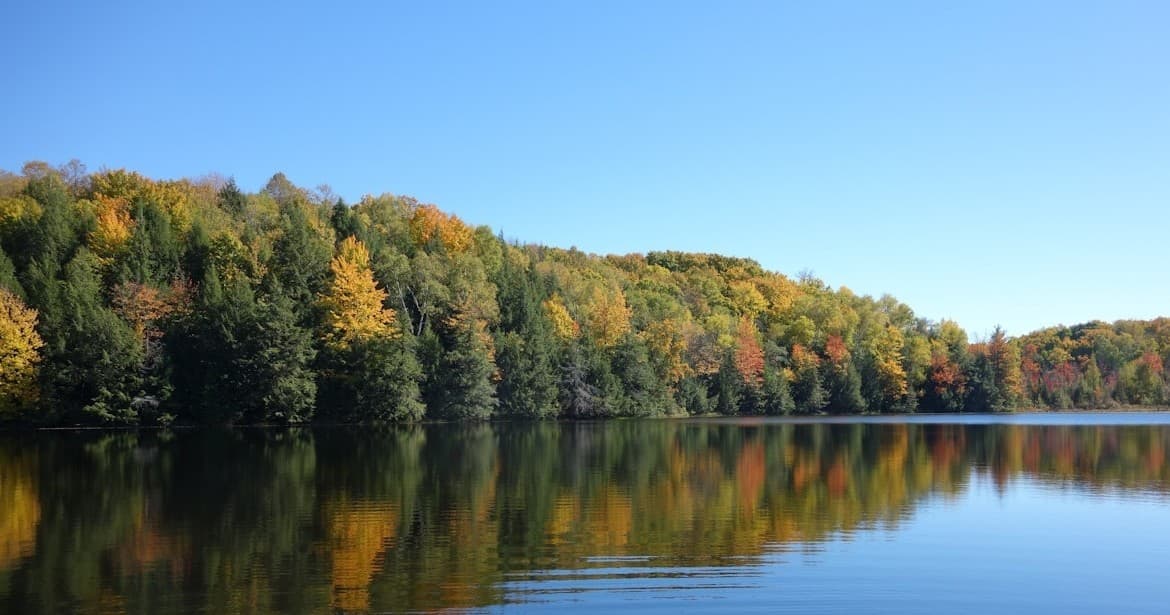 Customize Your Private Charter with Capt Jason on Northern Michigan Waters