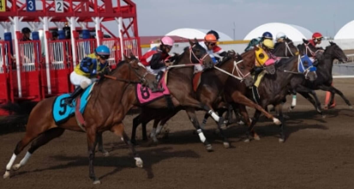 Riverfront Racing and Slots: Day Trip to Mountaineer Casino & Horse Racing