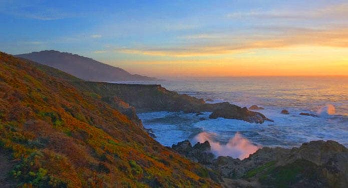 Half-Day Private Hike with Big Sur Guided Tours