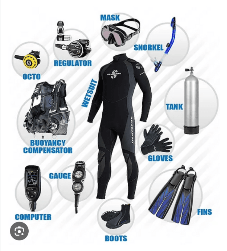Scuba Diving with Jupiter Scuba in Jupiter, Florida