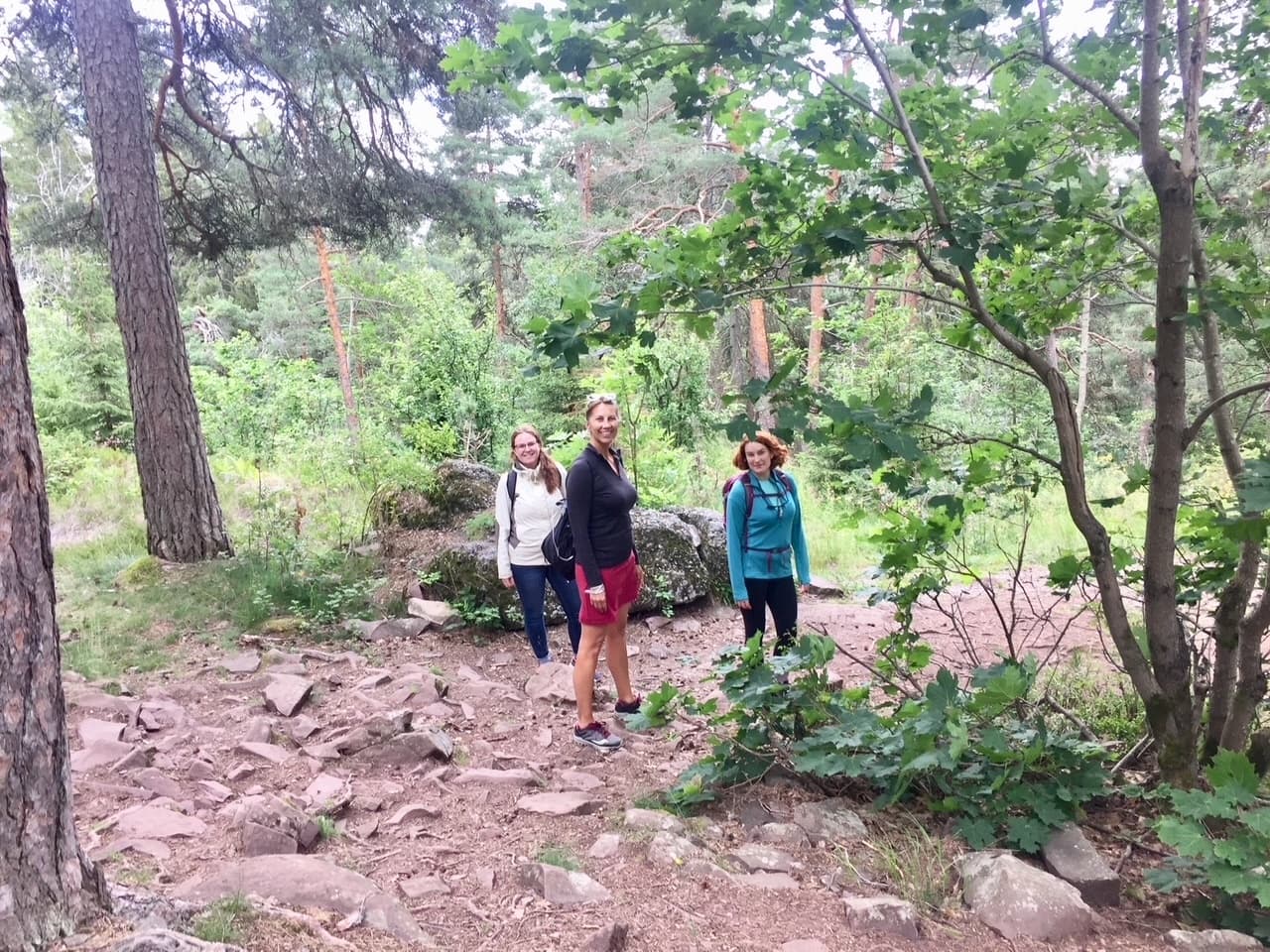 Forest Hike to Oslofjord Panorama: 4-Hour Guided Walk from Oslo Central photo 3