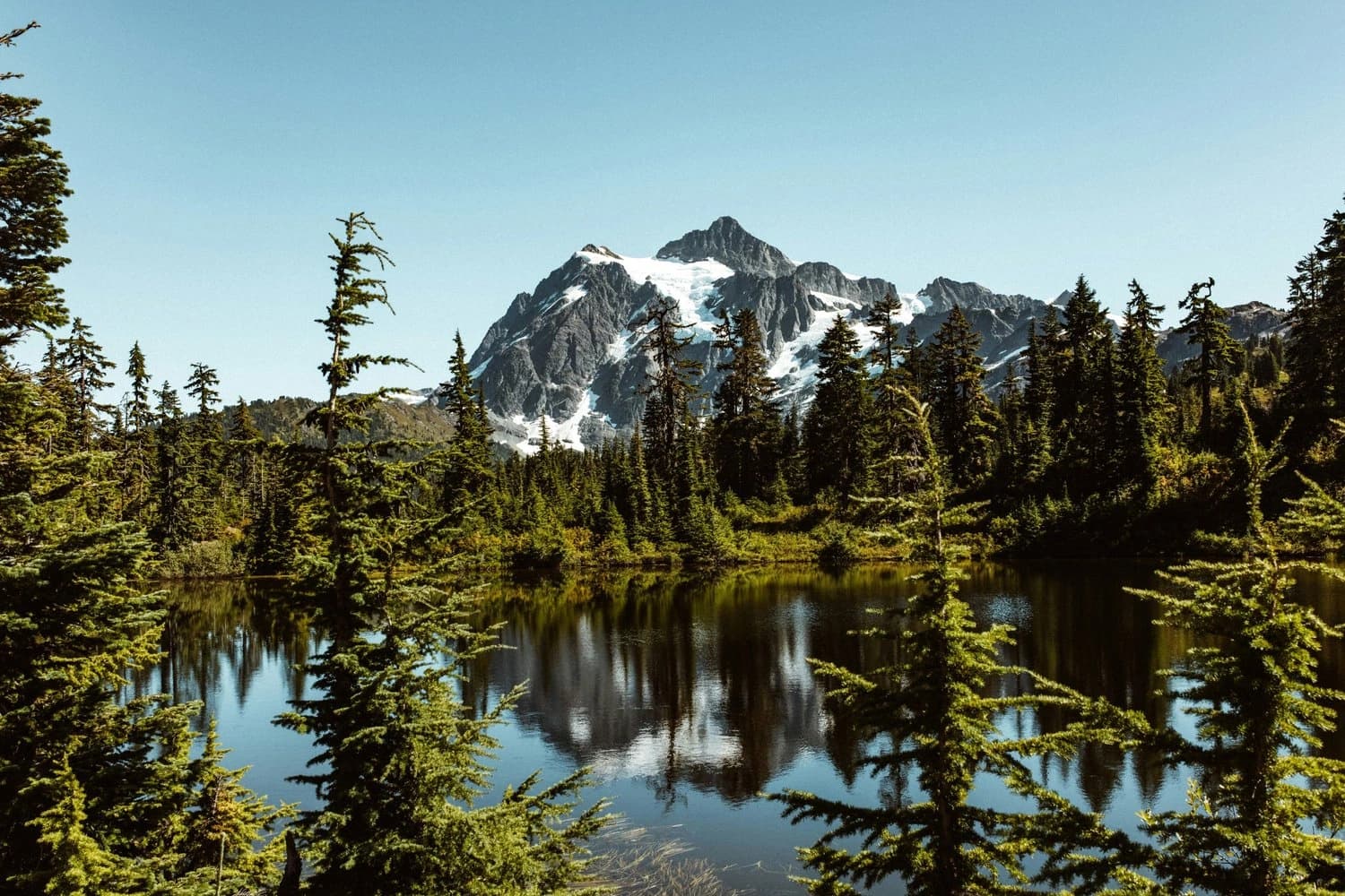 Stoddard Lake Lunch Ride: 4–5 Hour Scenic Horseback Trip in the Trinity Alps