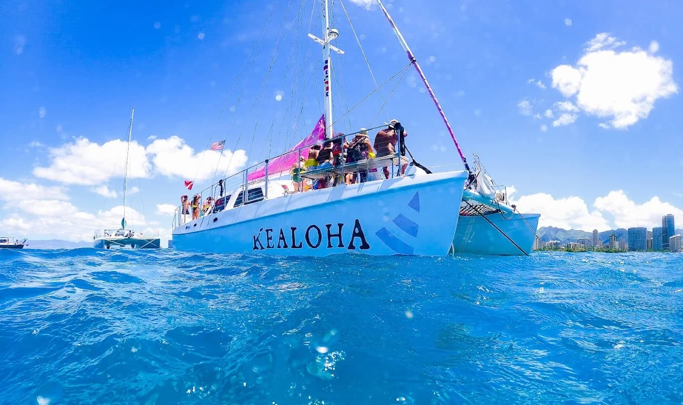 Snorkel With Honu at Turtle Canyon — Waikiki Catamaran Adventure photo 4