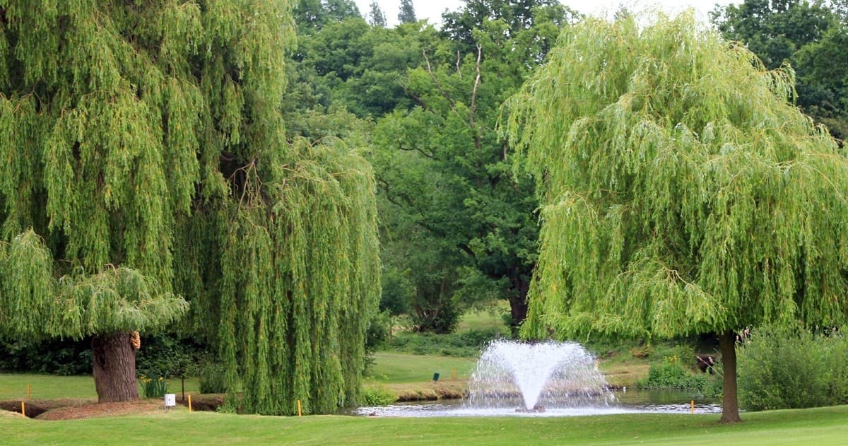 Outdoor Golf & Hiking at Hainault Forest