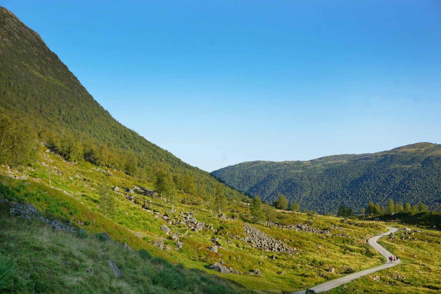 Hiking trail winding through green valley and mountain ridges