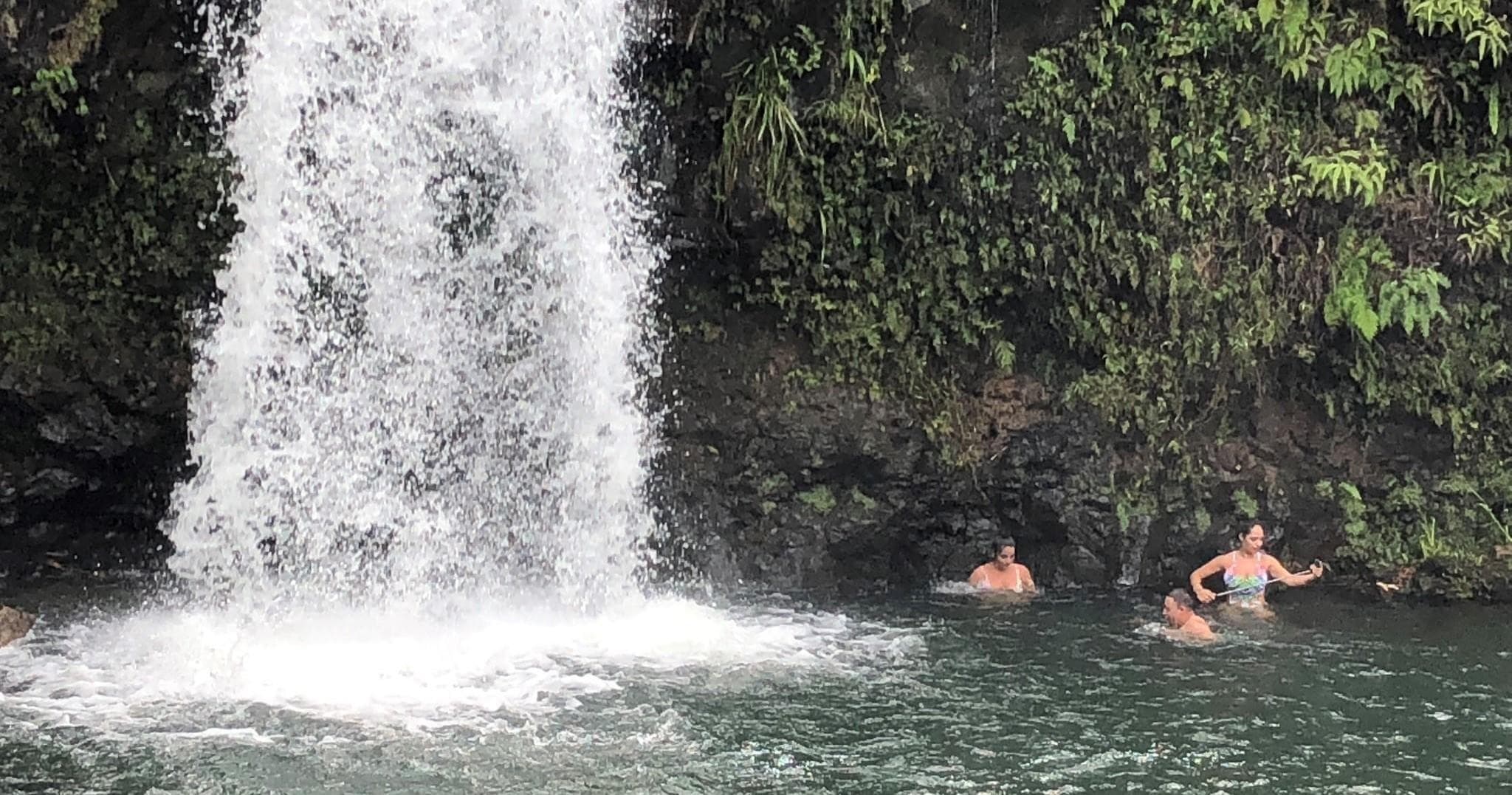 Land Adventures: Road to Hana from Lahaina by Dynamic Tour Hawaii