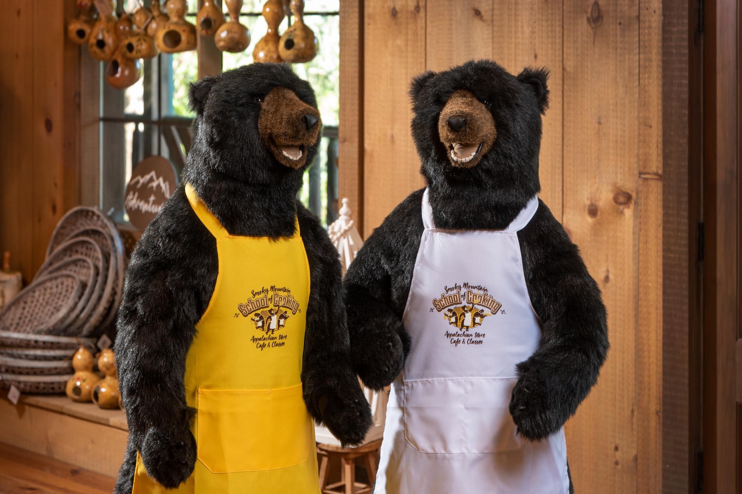 Culinary Adventures at Smoky Mountain School of Cooking