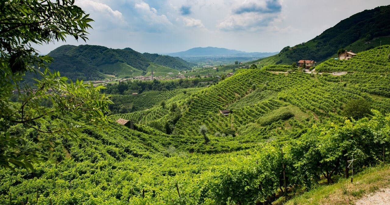 Bike Tour della Strada del Prosecco con Italy Cycling Tour in Conegliano