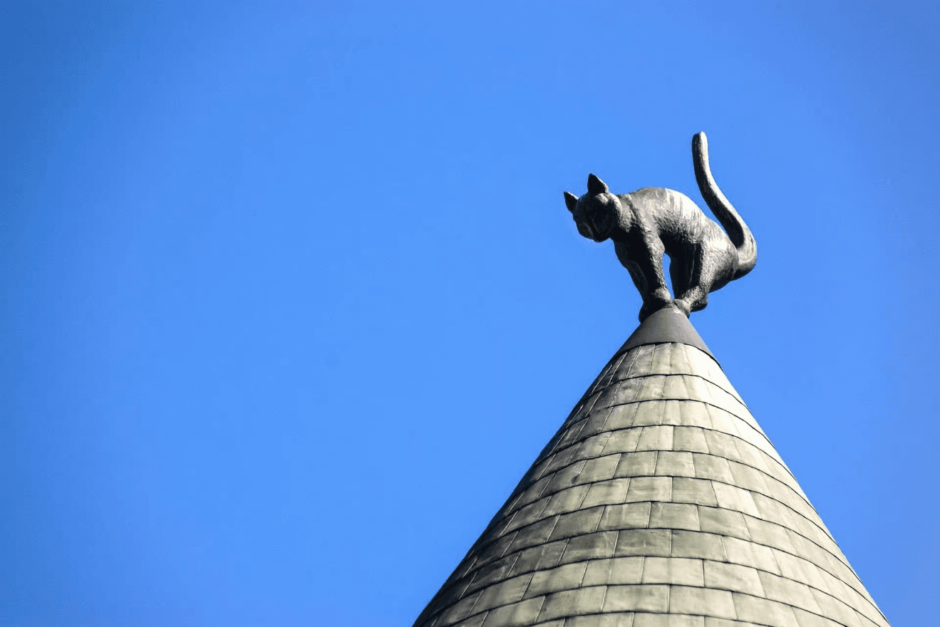 Discover Riga's Old Town: 90-Minute German Walking Tour