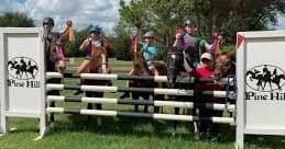 PVPeninsula Stables fleet