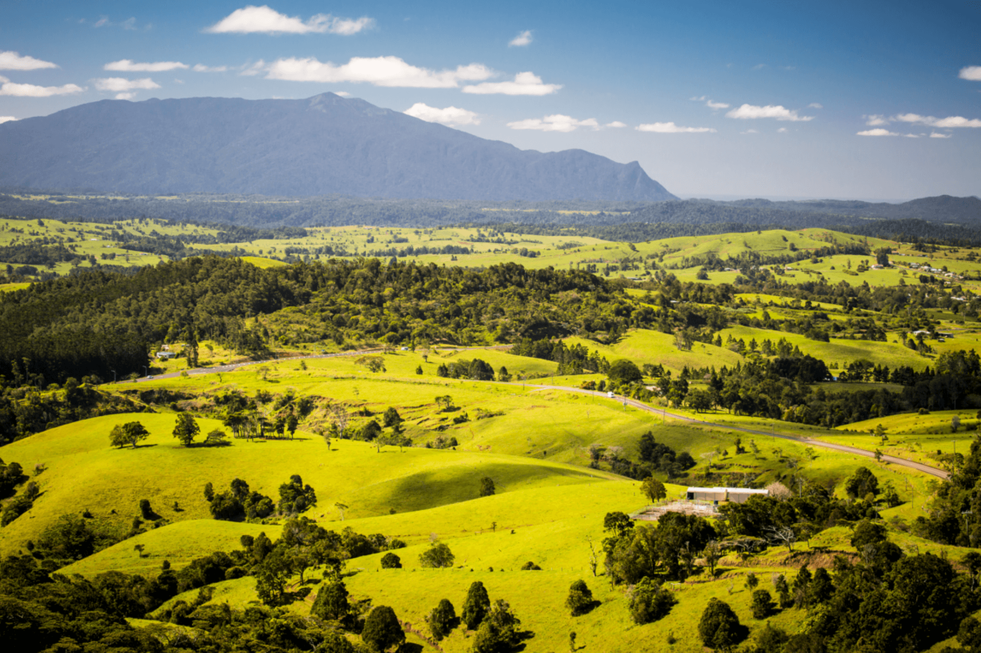 Downs Explorer Heritage Train: Scenic Warwick to Ballandean Rail Journey photo 2