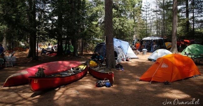 Campsite with kayaks and orange tents in pine forest by lake