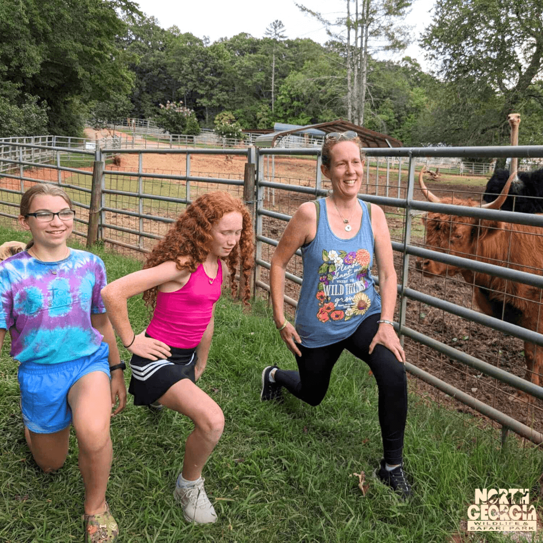 Wide outdoor zoo habitat with animals and scenic forest backdrop