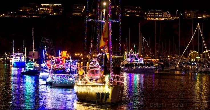 Experience the Magic of Dana Point Harbor Parade of Lights 2024 on a Private Electric Duffy Boat