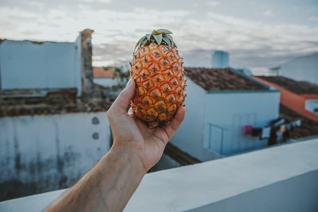 City Food & Culture Tour with Flow Tours in Ponta Delgada