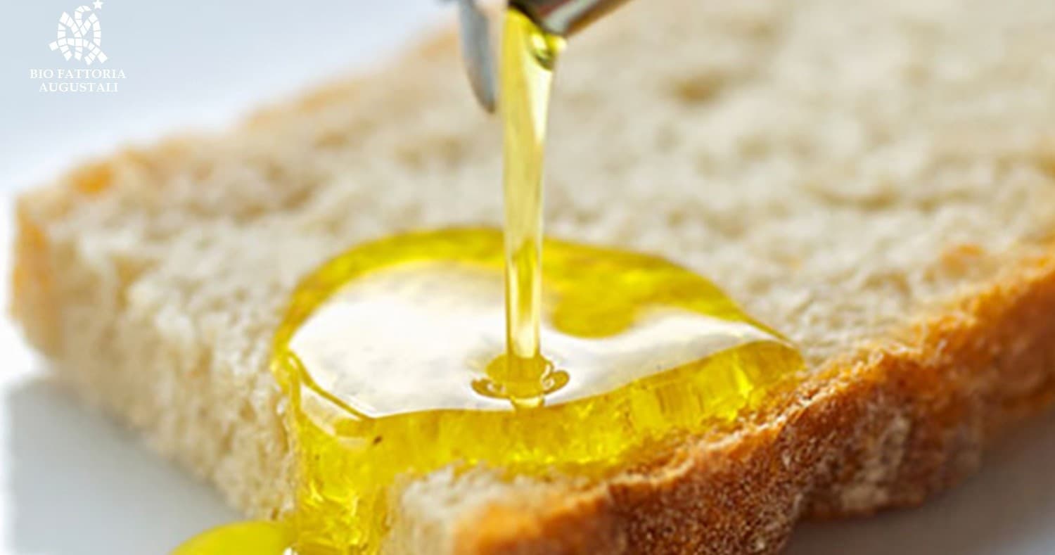 Olive Oil & Farm Tours with Olive Oil Experience by Farm Experiences & Tours in Sicily
