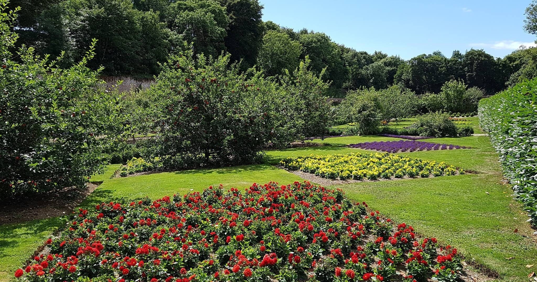 Historic Walled Garden Visit at Colclough, Tintern Abbey
