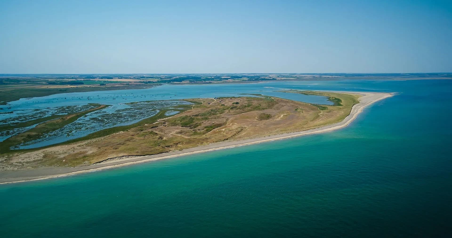 Wildlife & Birdwatching Tour at Scolt Head Island with North Norfolk Coastal Discovery