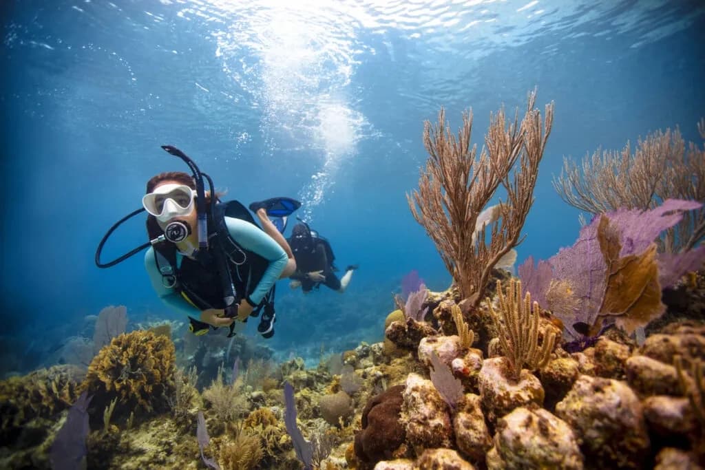 Key Largo Diving Package: 6 Trips, 12 Dives on Reefs and Wrecks