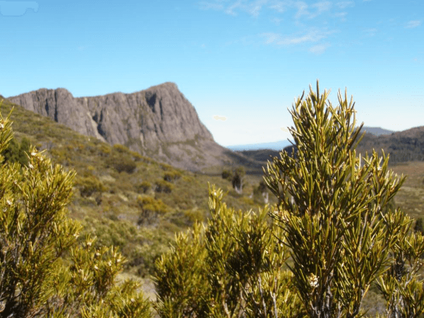Panoramic rocky peaks and scrub in alpine national park vista